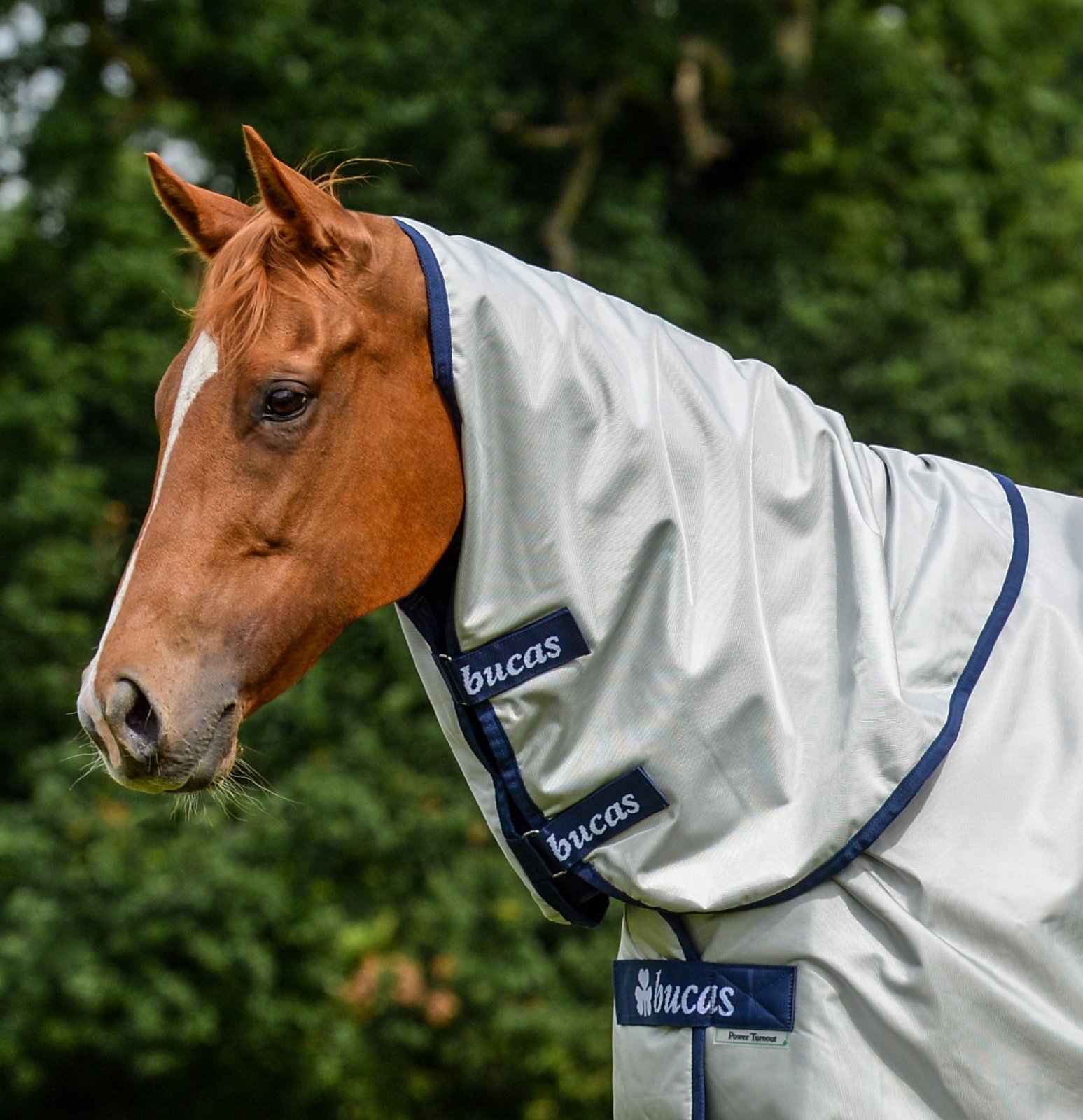 Bucas X-Range Halsteil Für Pferde - Wasserdicht & Atmungsaktiv