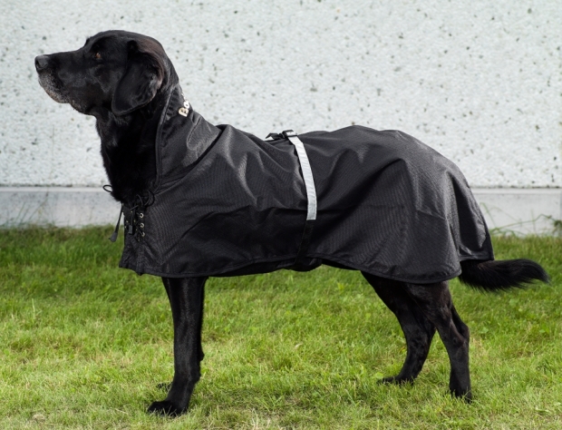 Back on Track Hunde-Regendecke Allwetterdecke mit leichter Füllung 37-52 cm