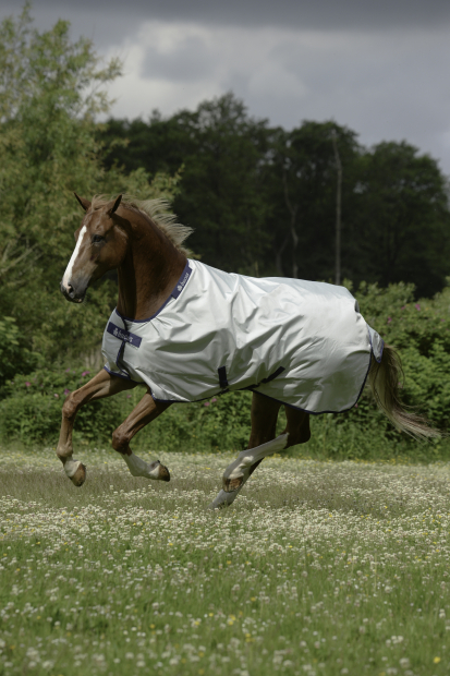 BUCAS Power Turnout Light silber