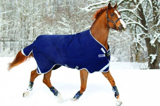 Abverkauf !!! Horseware Rambo Original medium 200 g mit Beinausschnitt 140 cm