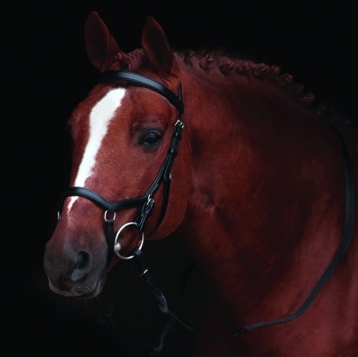 Horseware Rambo Micklem Competition Bridle havana