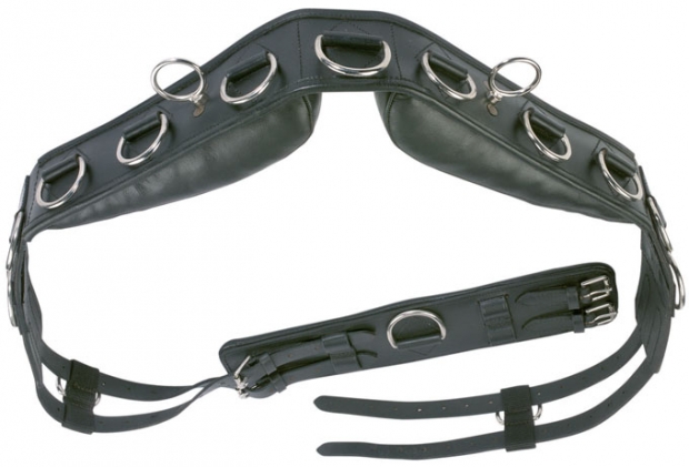 Busse 129204 Busse Longiergurt Professional Leder