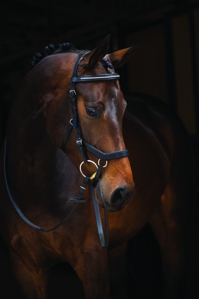 Horseware Rambo Micklem Diamante Competition Bridle