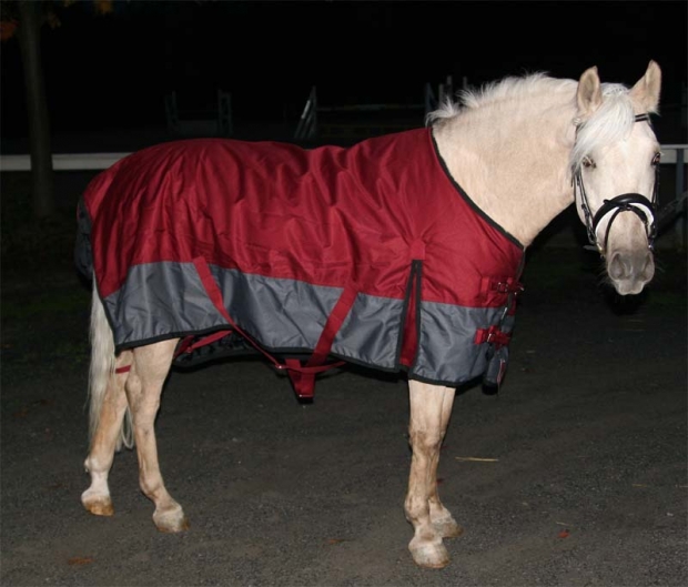 Unsere meistverkaufte Winterdecke 300G-Füllung High Neck bordeauxrot-grau wählbare Größe