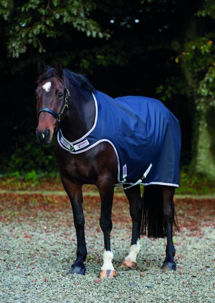 Horseware Amigo Walker black mit 100 Gramm Füllung
