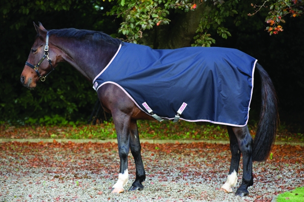 Horseware Amigo Walker black mit 100 Gramm Füllung