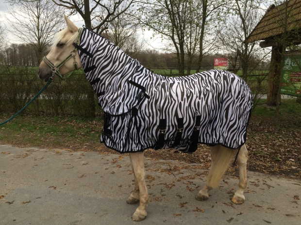 Hafer24 Ekzemerdecke Madrid Fliegendecke mit langem Halsteil und Gesichtsmaske Gr.95-175