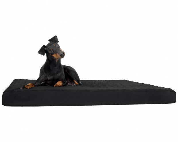 Back on Track Hunde Hundematratze 85 x 70 cm Back on Track Hunde Hundematratze 85 x 70 cm