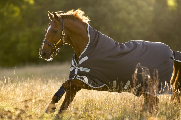 Horseware Amigo Bravo 12 Wug medium excalibur 3 Bauchgurte