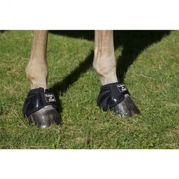 Back on Track Royal Hufglocken Performance schwarz