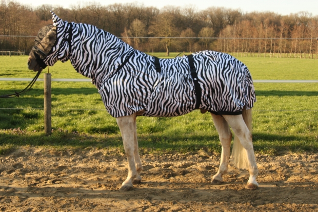 Hafer24 Ekzemerdecke Master mit Fliegenmaske -  Farbe zebra