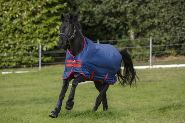 Abverkauf!!! Horseware Amigo Mio Turnout lite dark blue red Weidedecke Regendecke