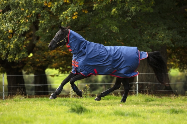 Horseware Amigo Mio All-In-One Turnout heavy 350g dark blue & red Regendecke mit Halsteil