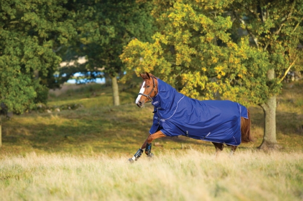 Abverkauf!!! Horseware Amigo Hero 900 D Plus  lite 0g atlantic blue