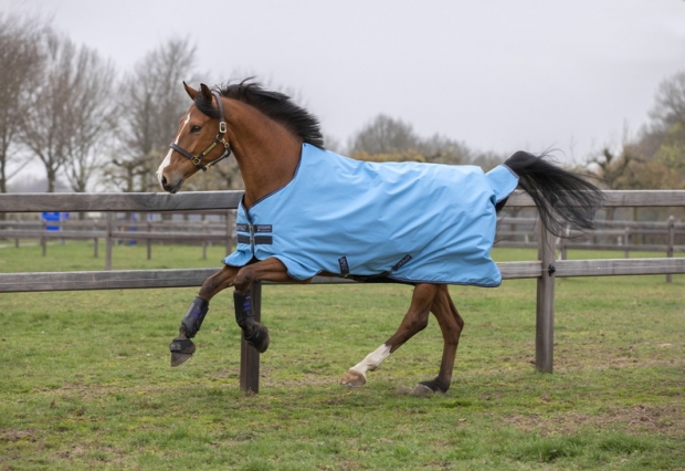 Abverkauf!!! Horseware Amigo Hero 900 D lite 0g capri blue