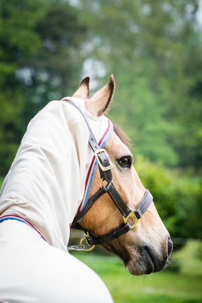 Abverkauf!!! Horseware Rambo Hoody Pony (Nachfolge Model Sweetitch Hoody) sand