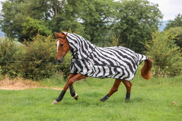 Bucas Buzz-Off & Neck Fliegendecke Regendecke zebra
