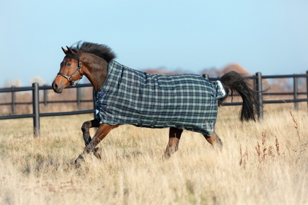 Horseware RHINO WUG 100g lite Regendecke hunter check