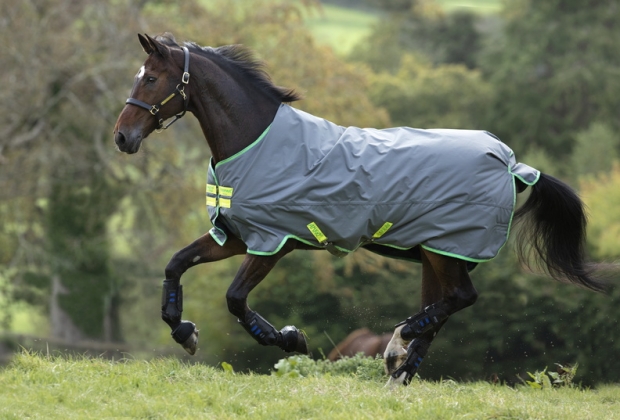 Horseware Amigo Hero 900 D medium 200g grey/ green
