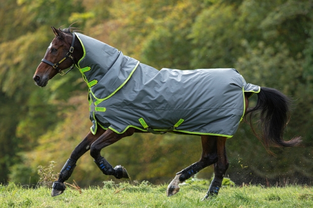 Preis Hammer!!! Horseware Amigo Hero 900 D Plus Disc lite 100g grey/ lime 125