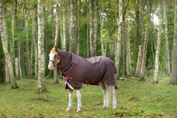 Horseware Amigo Bravo 12 Plus lite 100g mit Halsteil Brown/Red Disc