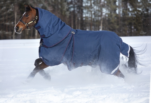 Abverkauf!!! Horseware Rambo Optimo Plus mit Halsteil Weidedecke ohne Füllung Navy/Burgundy