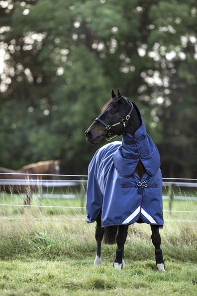Abverkauf!!! Horseware Rambo Optimo Plus mit Halsteil Weidedecke ohne Füllung Navy/Burgundy