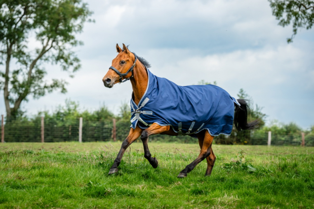 Horseware RHINO  WUG 250g medium VARI- LAYER Regendecke Navy/Titanium