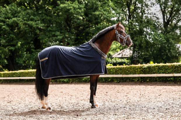 BUCAS Show-Line Fleece 400g Fleece Abschwitzdecke navy