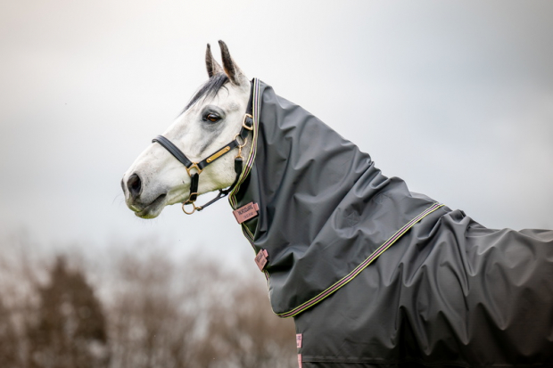 Abverkauf!!! Horseware Amigo Hero 600D Ripstop lite 0g Plus shadow