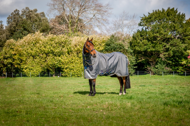 Abverkauf!!! Horseware Amigo Bravo 12 Plus lite mit Halsteil shadow *NEU* 3 Bauchgurte
