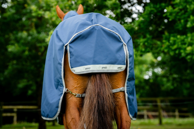 Horseware Amigo® Bravo 12 Plus Turnout (100g Light) Navy/Titanium