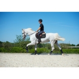 Back on Track Arbeitsgamaschen für die Hinterbeine schwarz