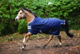 Horseware Amigo Bravo 12 Original medium navy