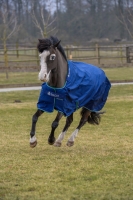 Bucas Smartex Turnout Rain Blau