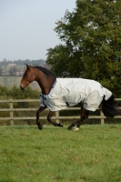 BUCAS Power Turnout Light silber