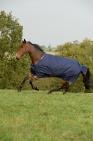 Bucas Irish Turnout light 50 Gramm blau 50 g