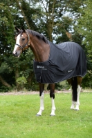 Abverkauf!!! BUCAS Shamrock Power Abschwitzdecke/ Übergangsdecke schwarz