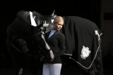 Horseware Rambo Diamanté Show Rug