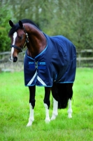 Horseware Amigo Bravo 12 Original heavy navy
