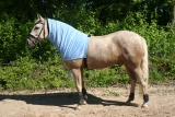 Hafer24 - Ekzemerdecken Halsteil Hero Ekzemerdecke Mähnenschutz