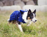 Back on Track Hunde Netzdecke/ Sommerdecke 37 cm blau