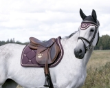 Back on Track Nights Collection Schabracke Springen rubinrot