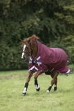 Abverkauf!!! Horseware Rambo WUG lite 50g burgundy