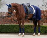 QHP Fleecedecke Brilliance blueberry ( navy) Abschwitzdecke