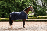 BUCAS Show-Line Fleece Fleece Abschwitzdecke navy