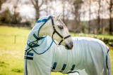 Horseware Amigo Bug Buster Plus azure blue