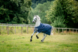 Abverkauf!!! Horseware Amigo ® Bravo 1200D Weidedecke 100g Navy /Titanium T Verschluss
