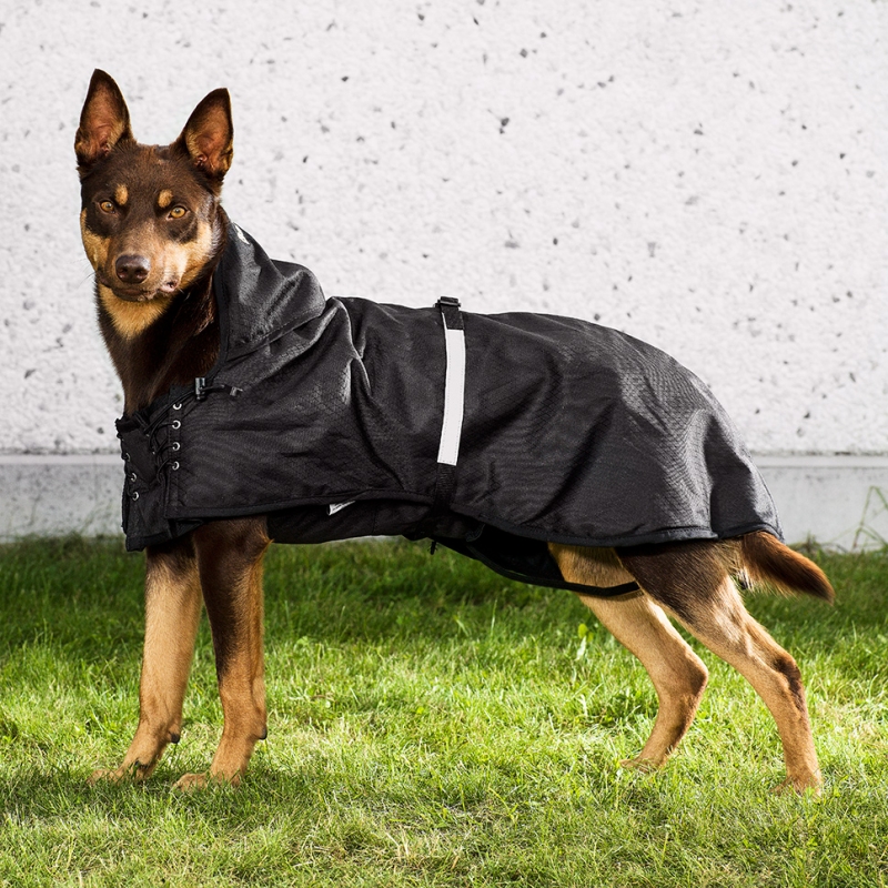 regenmantel hund ungefüttert