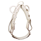 TOP  Leder Voltigiergurt